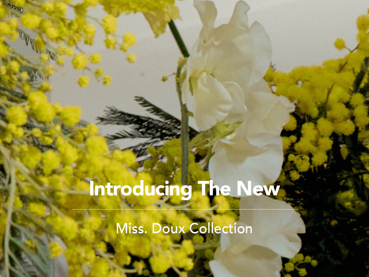 Introducing The New Miss. Doux Collection
