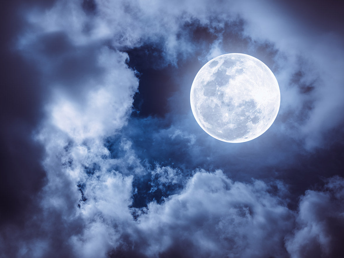 Halloween (Oct 4 - Oct 31, 2023)