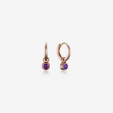 [Febuary Birthstone] Debon D.D Gold Earring - DIDIER DUBOT