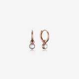 [March Birthstone] Debon D.D Gold Earring - DIDIER DUBOT