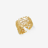 Sensuelle Gold Ring - DIDIER DUBOT