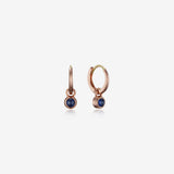 [September Birthstone] Debon D.D Gold Earring - DIDIER DUBOT
